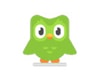Duolingo company logo